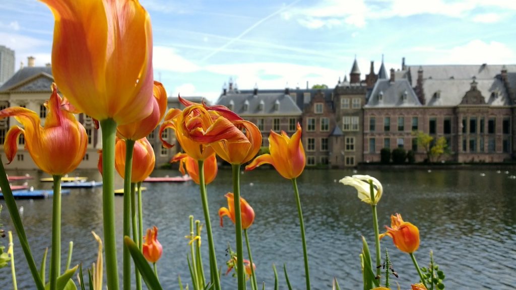 New government in the Netherlands